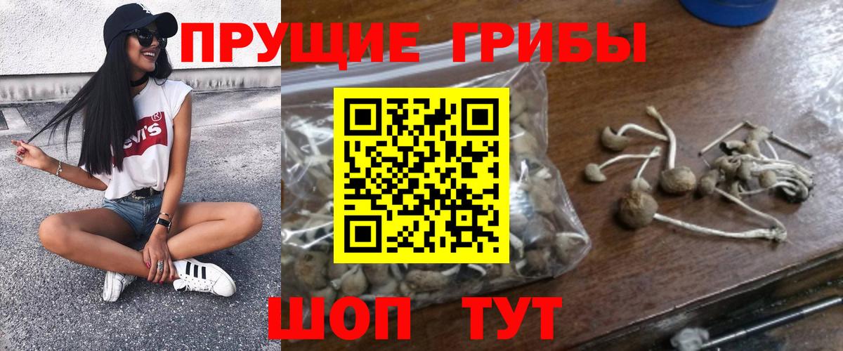 Псилоцибиновые грибы Magic Shrooms Аргун