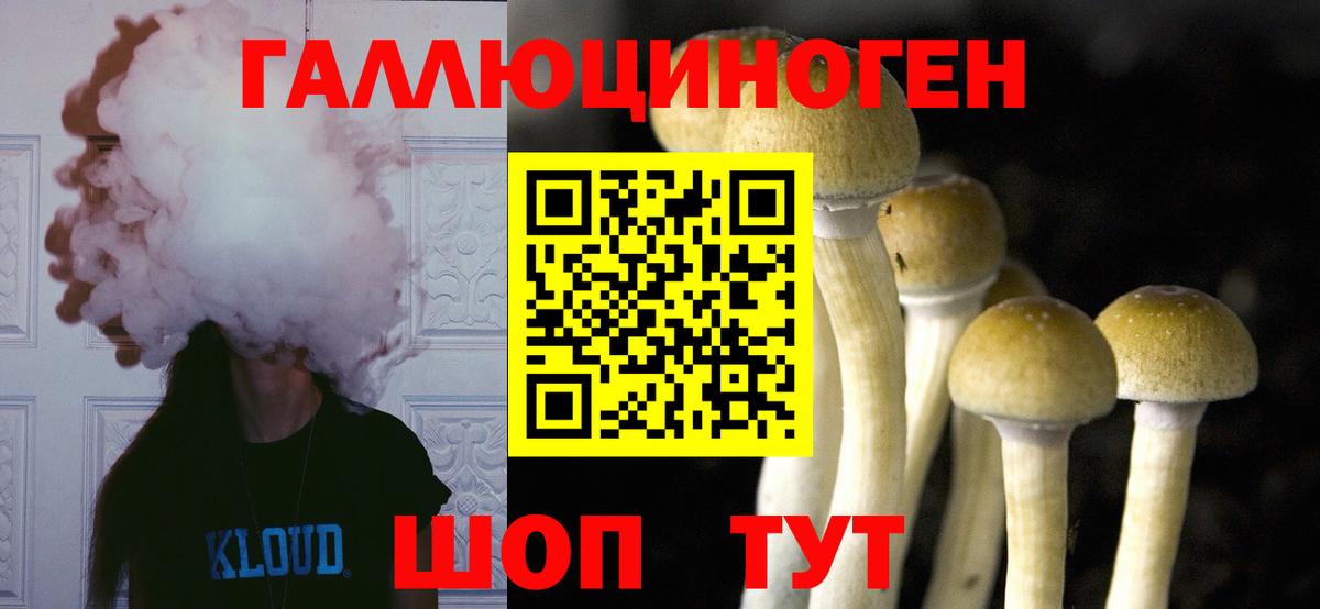 Галлюциногенные грибы Psilocybine cubensis  Галлюциногенные грибы GOLDEN TEACHER  Аргун  наркошоп  Вход с VPN 